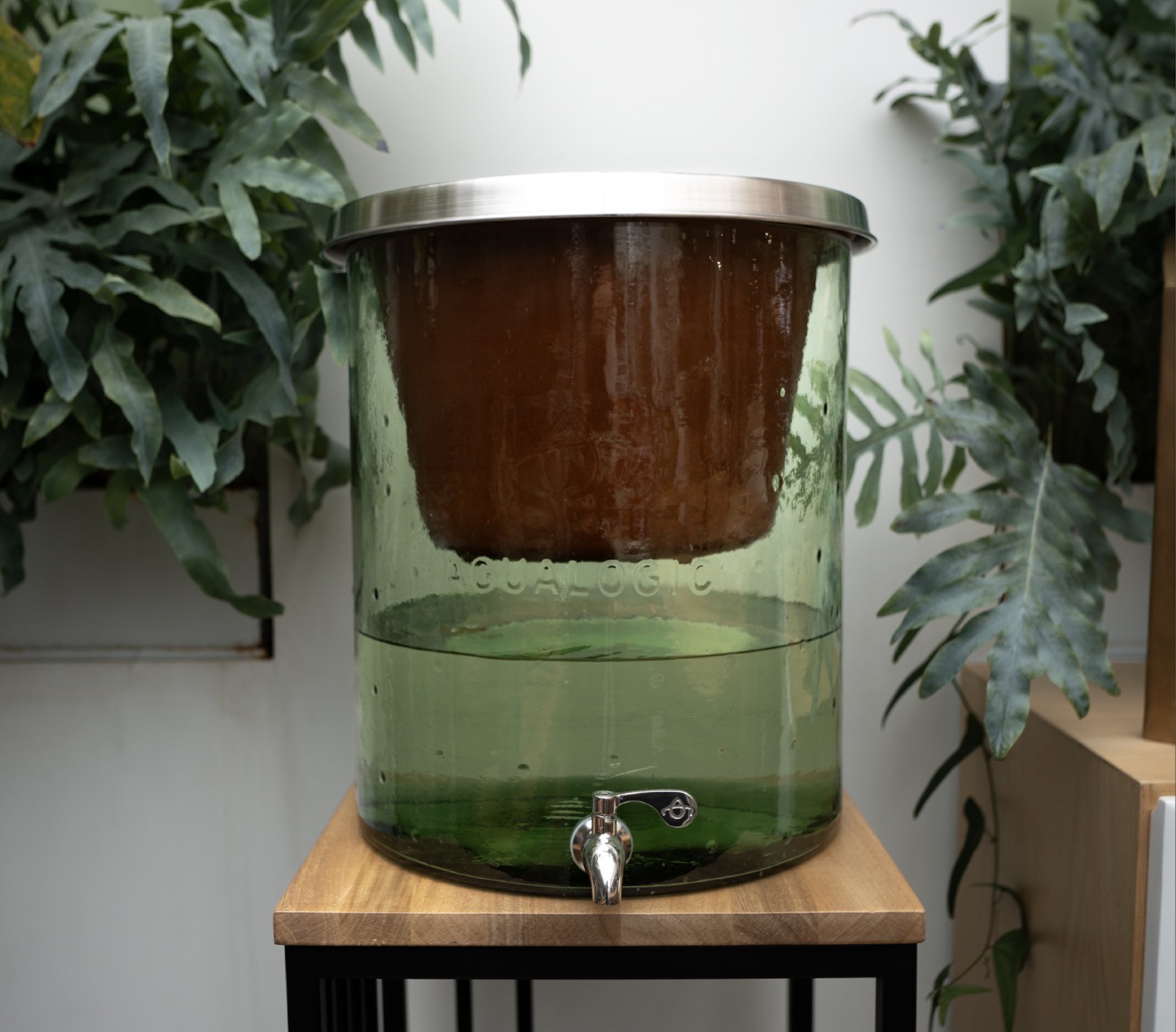 Unidad Vidrio Selva Verde